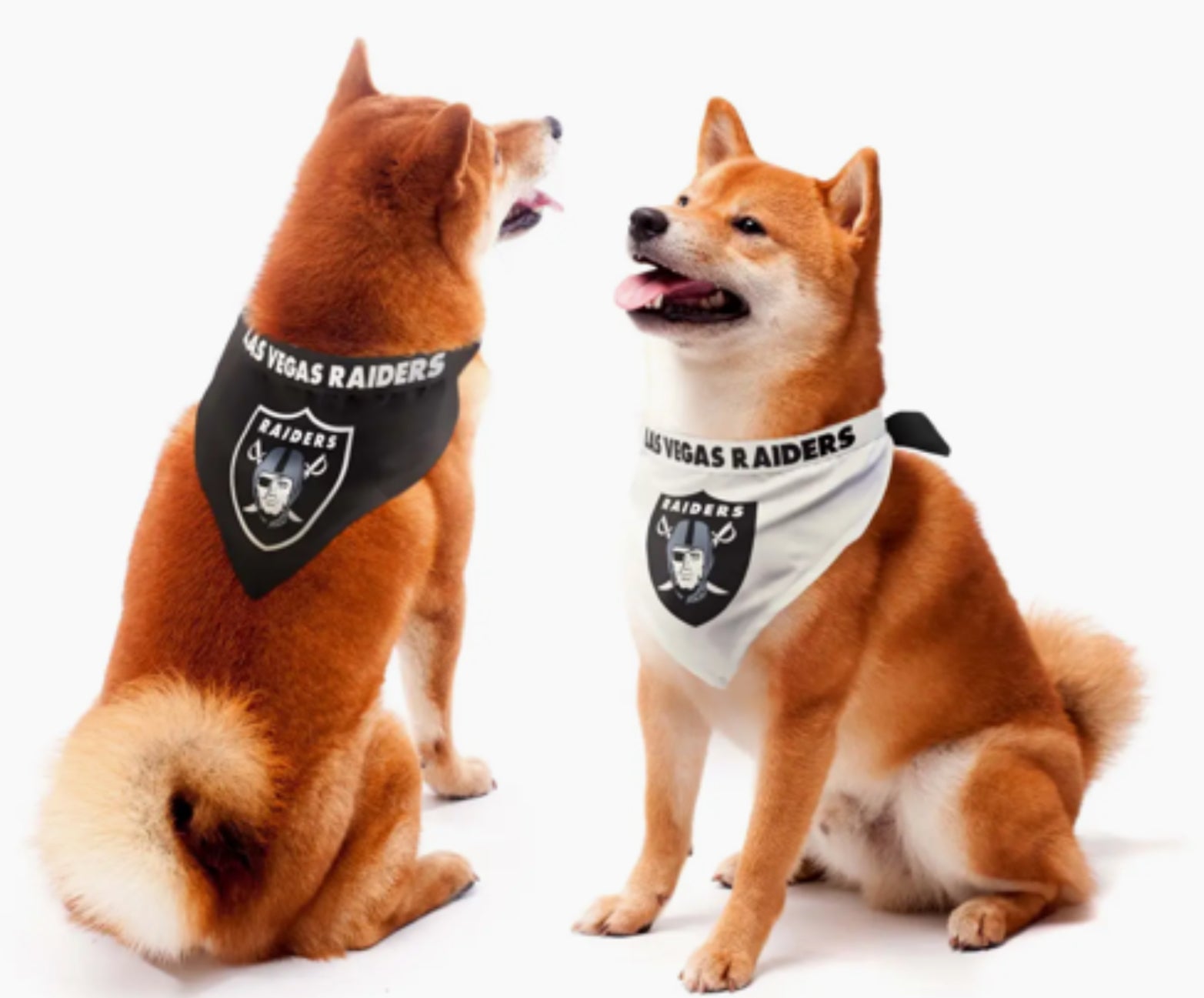 Las Vegas Raiders Home & Away Pet Bandana Set