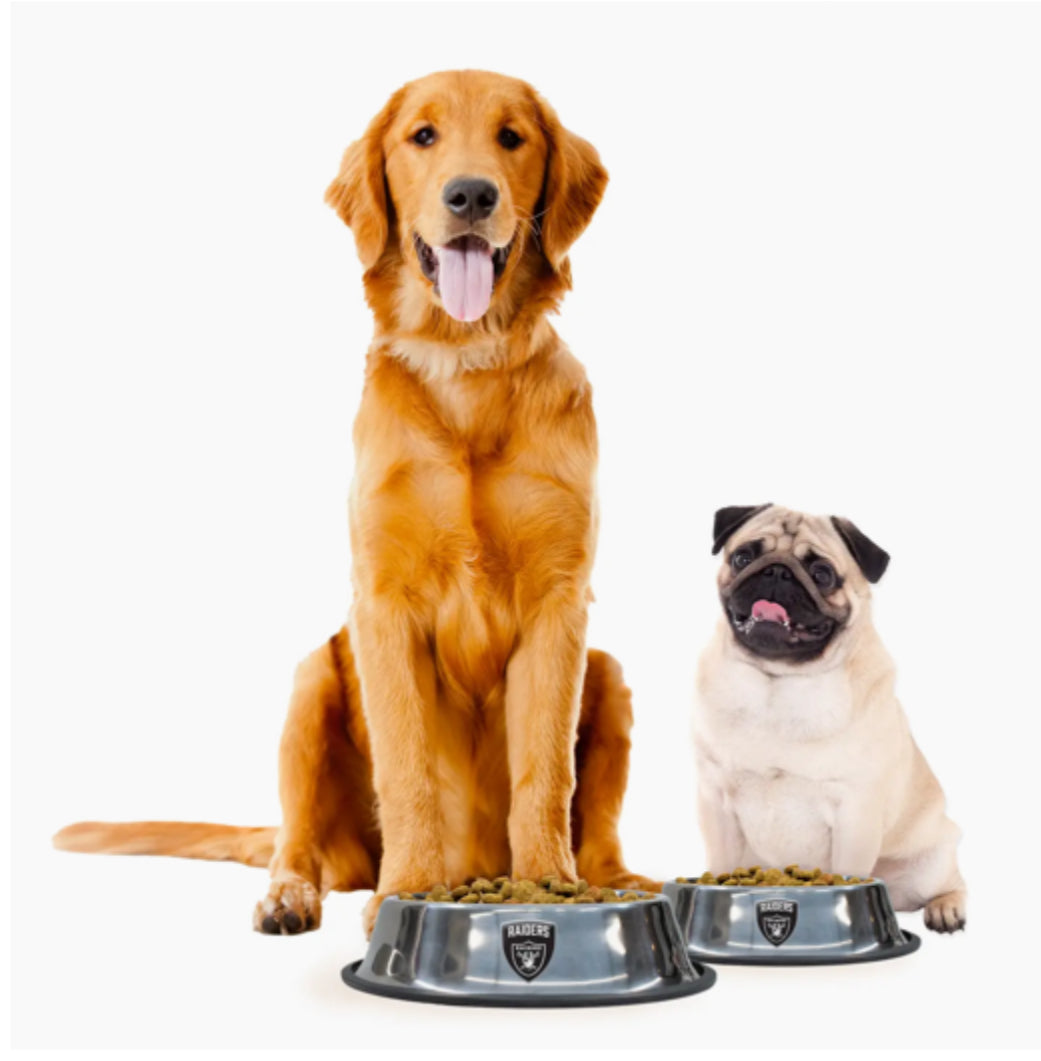 Las Vegas Raiders Everyday Pet Bowl (Large)